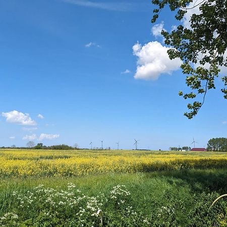 Huus Meta Villa Krummhörn Buitenkant foto