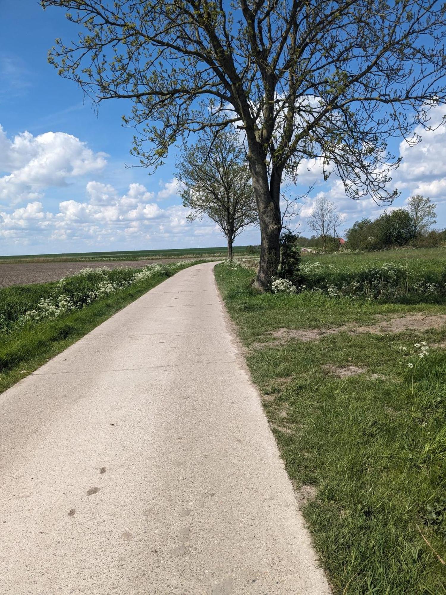 Huus Meta Villa Krummhörn Buitenkant foto