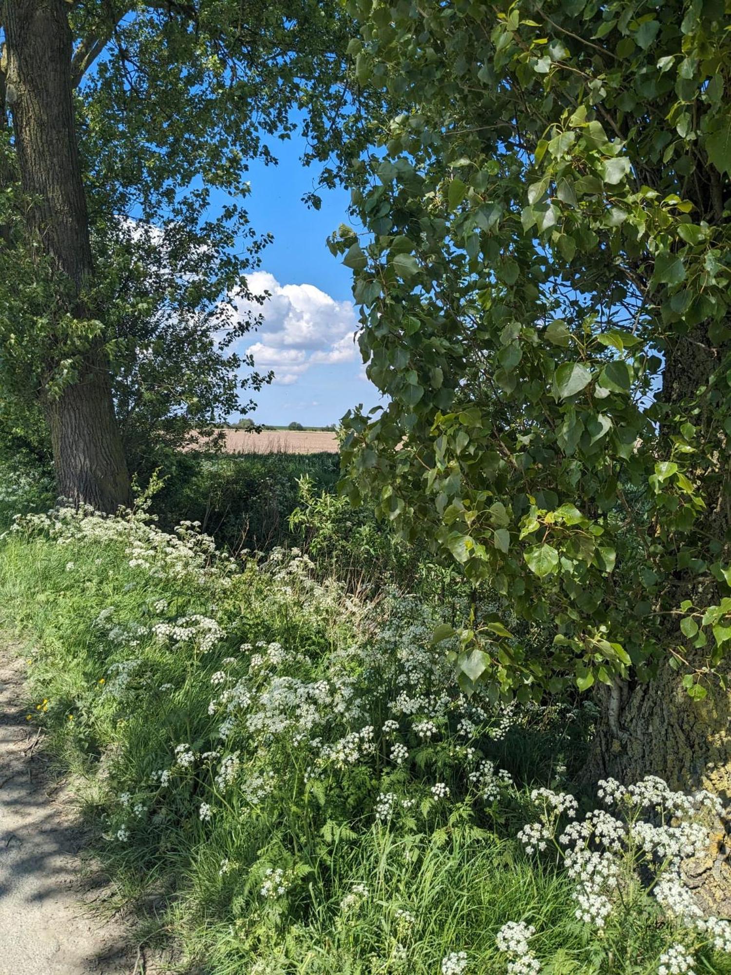 Huus Meta Villa Krummhörn Buitenkant foto
